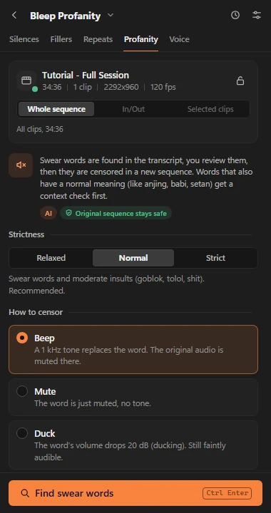 Profanity tool with level and censor mode